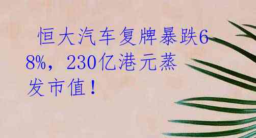 恒大汽车复牌暴跌68%,230亿港元蒸发市值!