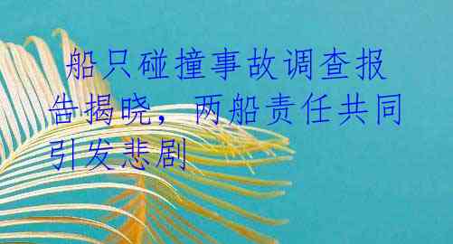船只碰撞事故调查报告揭晓,两船责任共同引发悲剧
