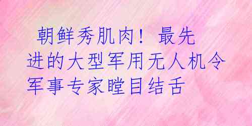 朝鲜秀肌肉! 最先进的大型军用无人机令军事专家瞠目结舌