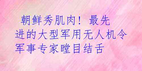  朝鲜秀肌肉! 最先进的大型军用无人机令军事专家瞠目结舌 