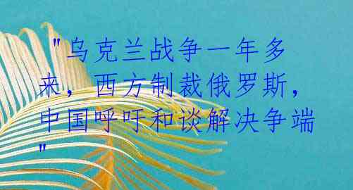 "乌克兰战争一年多来,西方制裁俄罗斯,中国呼吁和谈解决争端"