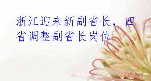 浙江迎来新副省长,四省调整副省长岗位