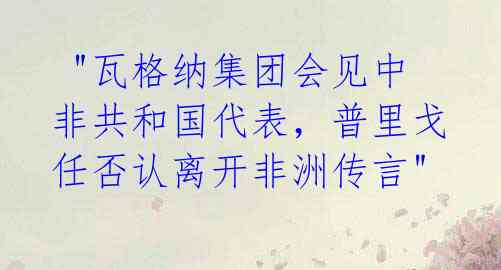 "瓦格纳集团会见中非共和国代表,普里戈任否认离开非洲传言"