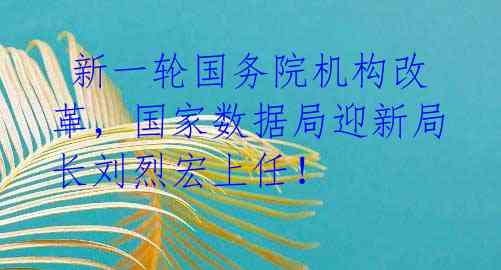 新一轮国务院机构改革,国家数据局迎新局长刘烈宏上任!