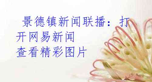  景德镇新闻联播：打开网易新闻 查看精彩图片