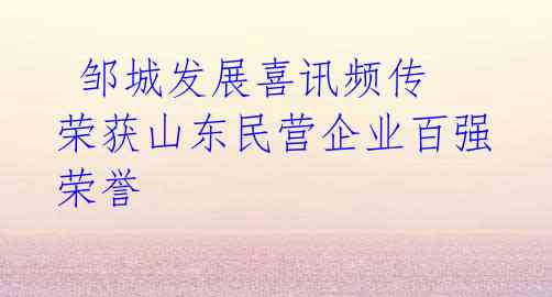 邹城发展喜讯频传 荣获山东民营企业百强荣誉