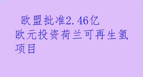 欧盟批准2.46亿欧元投资荷兰可再生氢项目