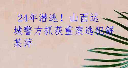 24年潜逃!山西运城警方抓获重案逃犯解某萍