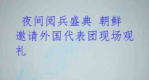  夜间阅兵盛典 朝鲜邀请外国代表团现场观礼 