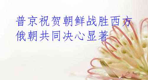普京祝贺朝鲜战胜西方 俄朝共同决心显著