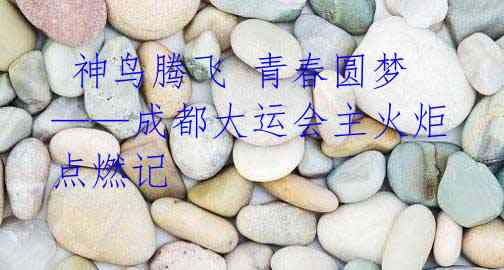 神鸟腾飞 青春圆梦——成都大运会主火炬点燃记