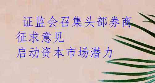  证监会召集头部券商 征求意见 启动资本市场潜力 