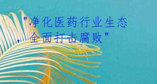 "净化医药行业生态,全面打击腐败"