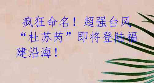 疯狂命名!超强台风“杜苏芮”即将登陆福建沿海!