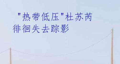 "热带低压"杜苏芮徘徊失去踪影