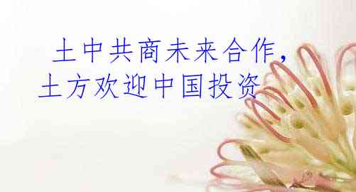 土中共商未来合作,土方欢迎中国投资