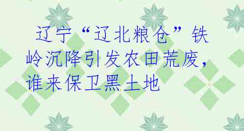 辽宁“辽北粮仓”铁岭沉降引发农田荒废,谁来保卫黑土地