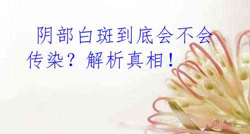 阴部白斑到底会不会传染?解析真相!