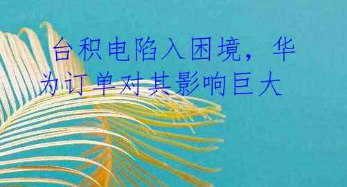 台积电陷入困境,华为订单对其影响巨大