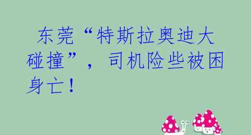  东莞“特斯拉奥迪大碰撞”，司机险些被困身亡！ 