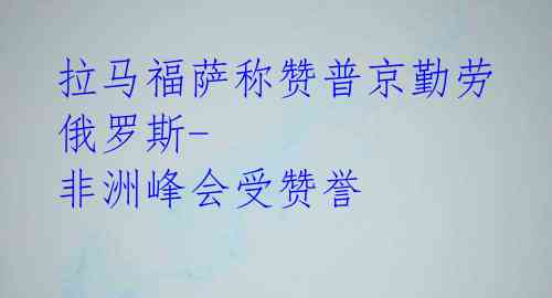  拉马福萨称赞普京勤劳 俄罗斯-非洲峰会受赞誉 