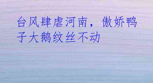 台风肆虐河南,傲娇鸭子大鹅纹丝不动
