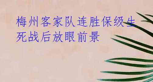 梅州客家队连胜保级生死战后放眼前景