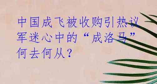 中国成飞被收购引热议 军迷心中的“成洛马”何去何从？ 