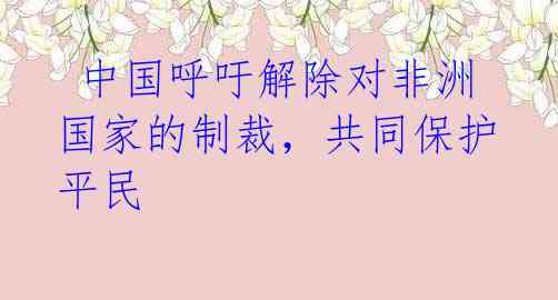 中国呼吁解除对非洲国家的制裁,共同保护平民