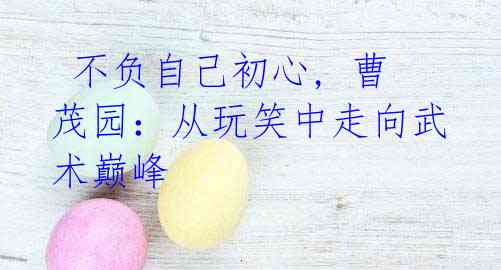 不负自己初心, 曹茂园:从玩笑中走向武术巅峰