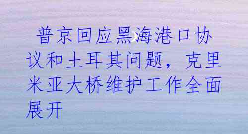 普京回应黑海港口协议和土耳其问题,克里米亚大桥维护工作全面展开