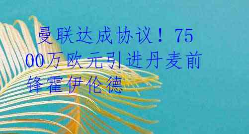 曼联达成协议!7500万欧元引进丹麦前锋霍伊伦德