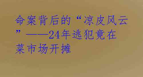 命案背后的“凉皮风云”——24年逃犯竟在菜市场开摊 