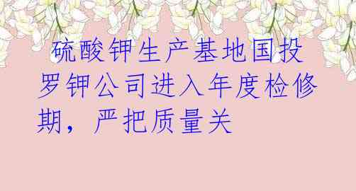 硫酸钾生产基地国投罗钾公司进入年度检修期,严把质量关