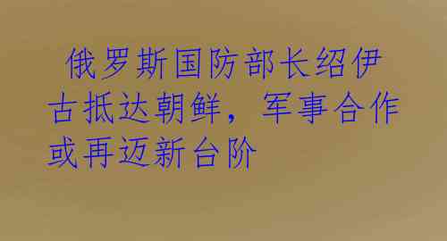 俄罗斯国防部长绍伊古抵达朝鲜,军事合作或再迈新台阶