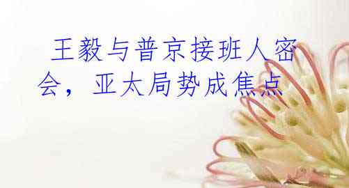 王毅与普京接班人密会,亚太局势成焦点