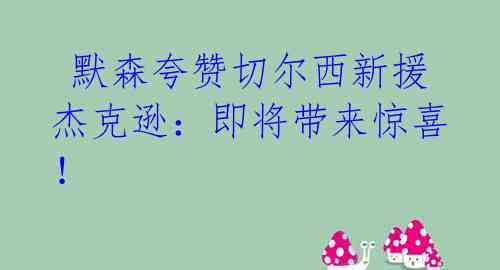  默森夸赞切尔西新援杰克逊：即将带来惊喜！ 