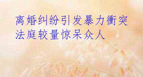 离婚纠纷引发暴力衝突 法庭较量惊呆众人