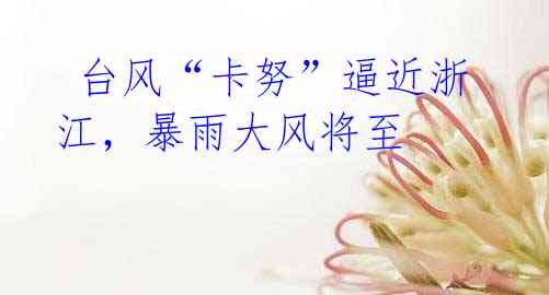 台风“卡努”逼近浙江,暴雨大风将至