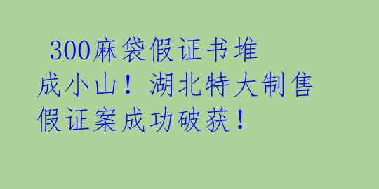 300麻袋假证书堆成小山!湖北特大制售假证案成功破获!