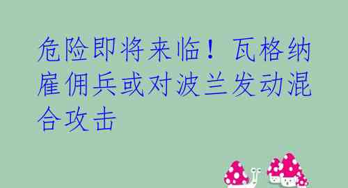 危险即将来临!瓦格纳雇佣兵或对波兰发动混合攻击