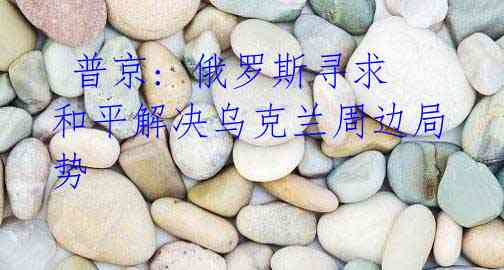 普京: 俄罗斯寻求和平解决乌克兰周边局势