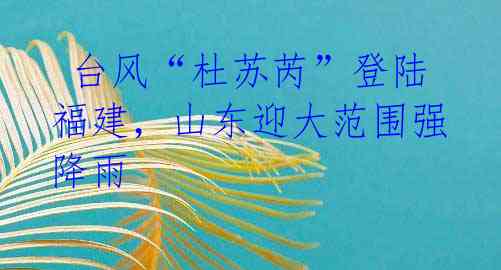 台风“杜苏芮”登陆福建,山东迎大范围强降雨