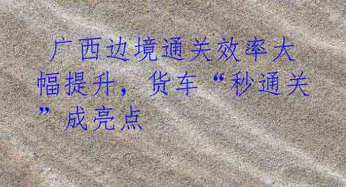 广西边境通关效率大幅提升,货车“秒通关”成亮点