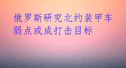 俄罗斯研究北约装甲车 弱点或成打击目标 