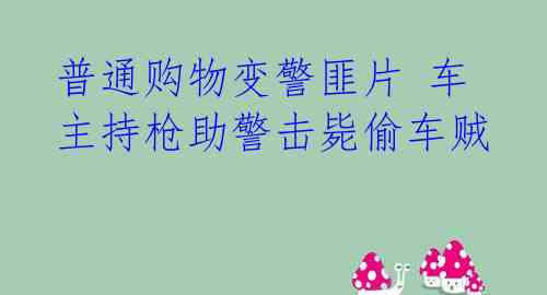 普通购物变警匪片 车主持枪助警击毙偷车贼
