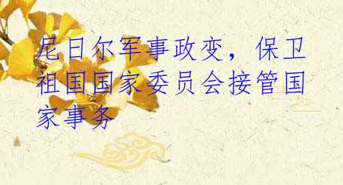 尼日尔军事政变,保卫祖国国家委员会接管国家事务