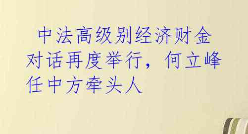 中法高级别经济财金对话再度举行,何立峰任中方牵头人