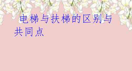 电梯与扶梯的区别与共同点