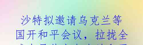 沙特拟邀请乌克兰等国开和平会议,拉拢全球力量共商乌克兰和平之路